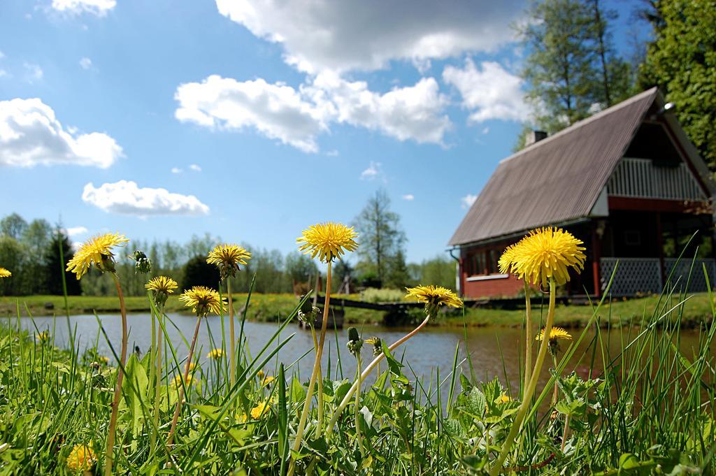 Rehe Turismitalu Guest House Kuijoe Bagian luar foto